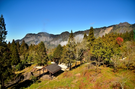 Gazebo in a parkの写真素材