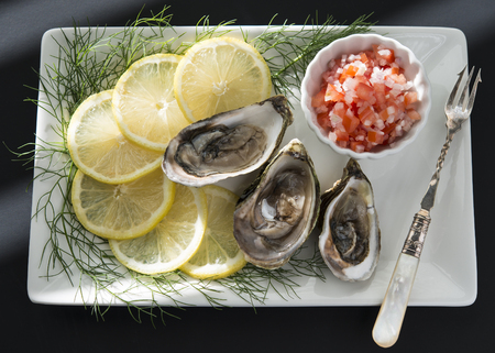 Oystersの写真素材