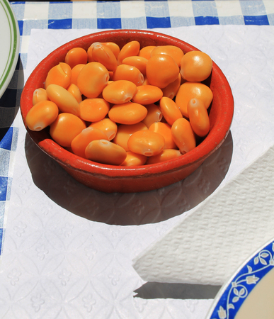 container with lupine beansの写真素材