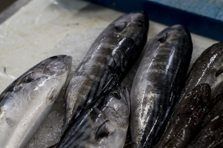 detail fresh mackerel head fish marketの写真素材