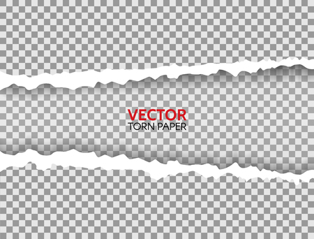 Realistic torn paper with ripped edges and space for text. Torn paper frame on transparent background. Paper texture with damaged edge. Vector illustration.のイラスト素材