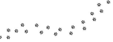 Paw print of cat, dog. Pet footprint trail walk. Animal foot track. Step silhouette icon. Pet shop symbol. Pitch shape. Pawprint on long banner. Puppy way trace. Vector illustrationのイラスト素材