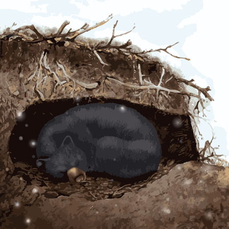 Bear sleeping in cave snowing