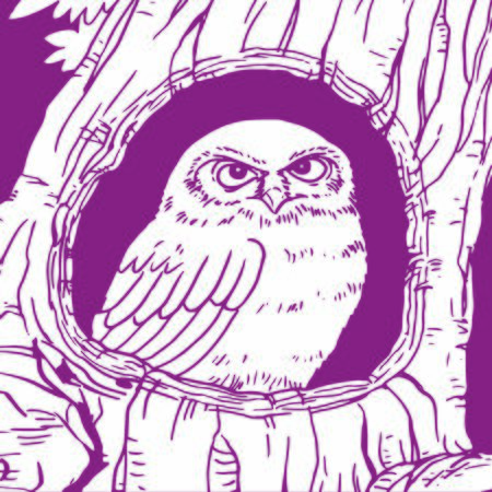 Owl stay  insdie tree hole home  line drawingのイラスト素材