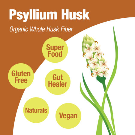 Psyllium; Psylium Husk; whole husk; husk powder; organic; common name; Plantago; commercially; production; dietary fiber; relieve symptoms; constipation and mild diarrhea; food thickener; food ingredient; breakfast cereals; healthy lifestyle; blood cholesterol levels; gastrointestinal function; dry and cool climates; cultivated; northern India; agriculture; Gut Healer; fiber; Digestive Problems; Blood Pressure; Heart health; Good for Weight Loss; Treats Hemorrhoids; Diabetes; Cure Gallstones; Good for Skin; Cholesterol Reduction; Anti-inflammatory Properties; Treat Ulcerative Colitis; Detoxify the Body; Treat Acidity; DiarrheaConstipation; Piles; Gastroparesis; Irritable Bowel Syndrome; Laxative; keto; Che Qian Zi; gel; glue-like; white; gelatin; glue; super food; gluten free; gut floral; natural; fibres; social media post; post; sticker; label; wellnessのイラスト素材