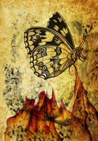 Grungy composition with butterflyの写真素材