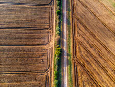 Aerial view of the road through the fields. Drone photography.の素材