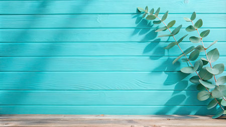 Eucalyptus leaves on turquoise wooden background with copy spaceの素材