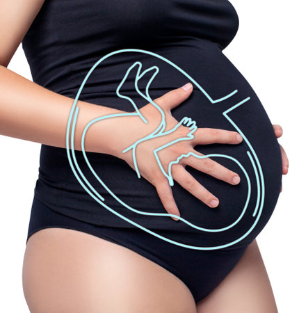 Pregnant woman posing with paint embryo on belly. isolated on white background.の写真素材