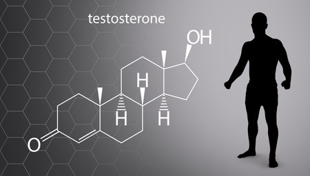 Black silhouette of muscular sportsman near chemical formula of testosterone. Over gray background.の写真素材