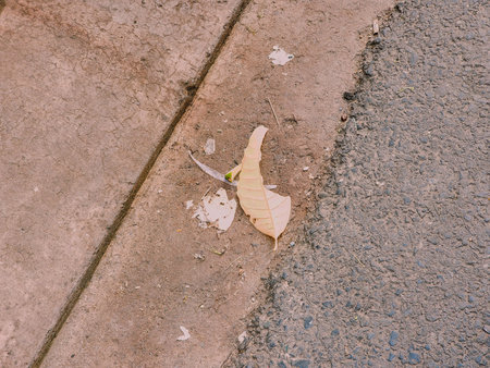 A single dried leaf rests on the edge of a weathered concrete sidewalk