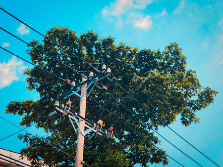 Utility pole surrounded by green tree leaves under blue sky