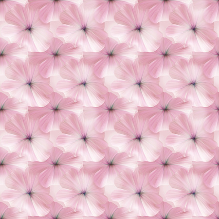 Pink Petunia seamless pattern for fabric or textile design.の写真素材
