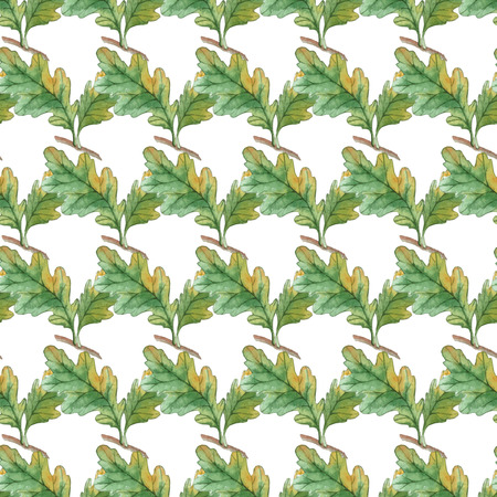 Watercolor Seamless pattern  with oak leavesのイラスト素材