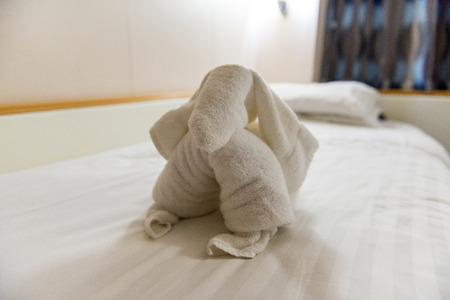 Dog towelの写真素材