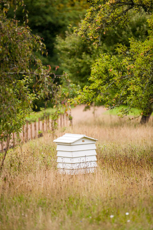 White wooden bee hive in the gardenの写真素材
