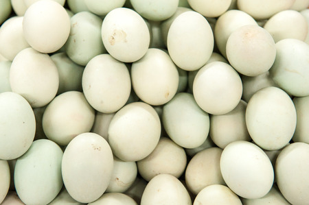 Collection of large white eggs
