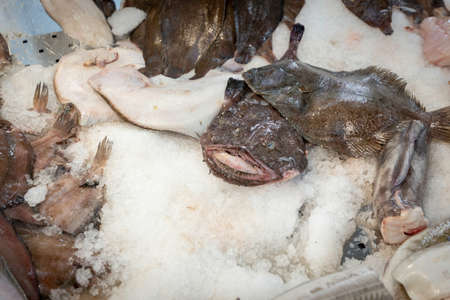 Mixed fish at the marketの写真素材