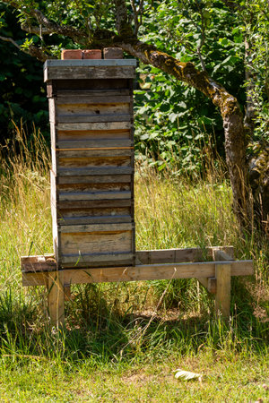 Beehive in the garden on a summer sunny day. Beekeeping concept.