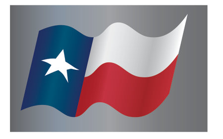 National Flag of Texas Stateのイラスト素材