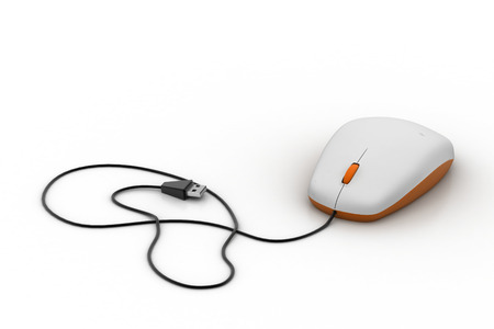 Computer mouse  