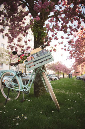 Flower during time nature awesome nice new beautifully photoのeditorial素材