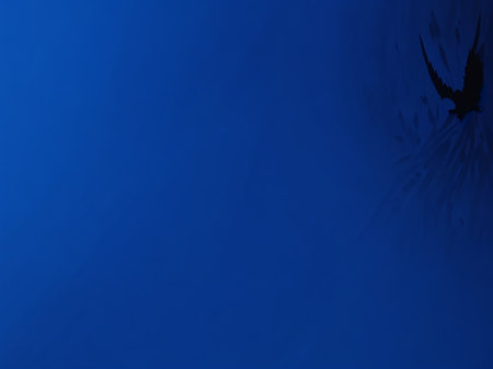 Halloween background. Flying bats on a dark blue background. Halloween concept.の素材