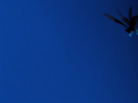 Dragonfly flying in the blue sky, with space for text.の素材