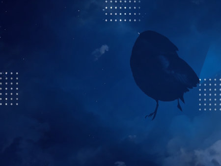 Silhouette of a bird on a dark blue background with lightsの素材