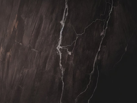 Black marble texture background. High resolution photo. Full depth of field.の素材