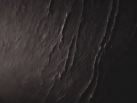Black stone texture background. Abstract black and white background. Copy space.の素材