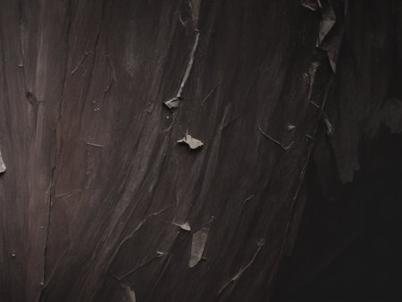 abstract background of dark wood texture with cracks and vignetteの素材