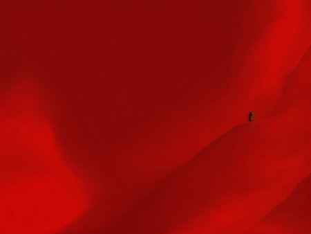 Abstract background with red flower petals. 3d render illustration.の素材