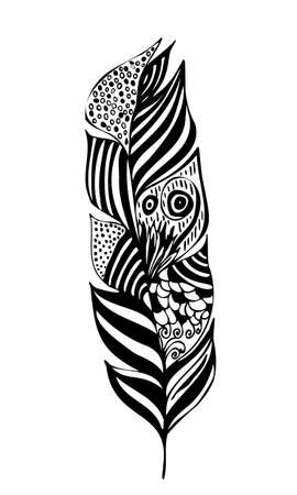 figure of feather handwritten in black and white with ornamentのイラスト素材