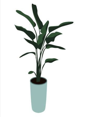 Home plant in a pot for interior decoration in illustrationのイラスト素材