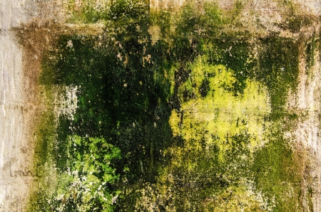 abstract grunge textured backgroundの写真素材