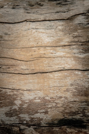 Old wood textureの写真素材