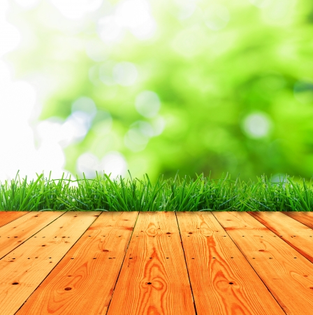 Fresh spring green grass with green bokeh and sunlight and wood floorの写真素材