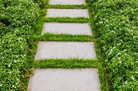 Stairway with green grassの写真素材