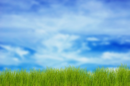 green grass and blue skyの写真素材