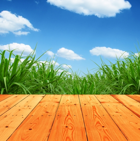 Fresh spring green grass with blue sky and wood floor background の写真素材