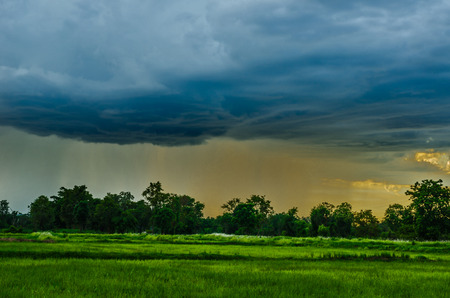 Rain cloud over forest view from the observation