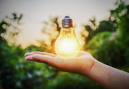 light bulb against sunset nature background. power concept