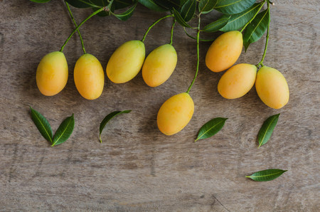 Closeup sweet Marian plum thai fruit isolated on wood backgroundの写真素材