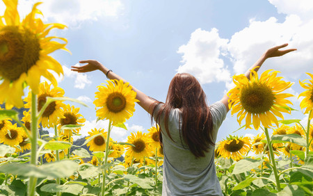 Freedom life of Beautiful girl relaxation travel outdoor nature of the sunflowers field and sunshineの写真素材