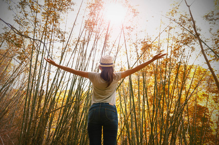 young woman freedom travel and cheering open arms at mountain under bamboo forest  with sunlightの写真素材