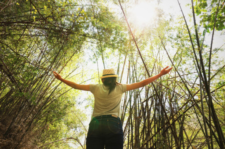 young woman freedom travel and cheering open arms at mountain under bamboo forest  with sunlightの写真素材