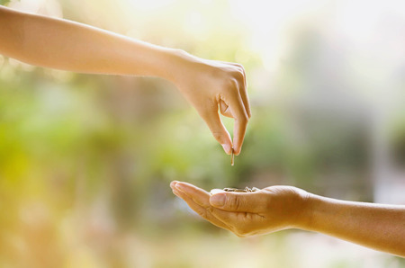 hand giving money for investment the futureの写真素材