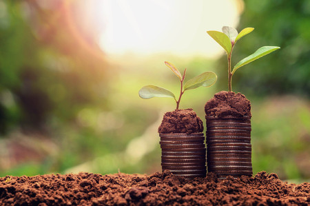 concept coins in soil with young plant for saving moneyの写真素材