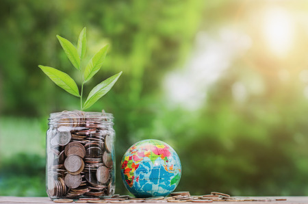 concept money with plant growing on coin in jar and globe toy